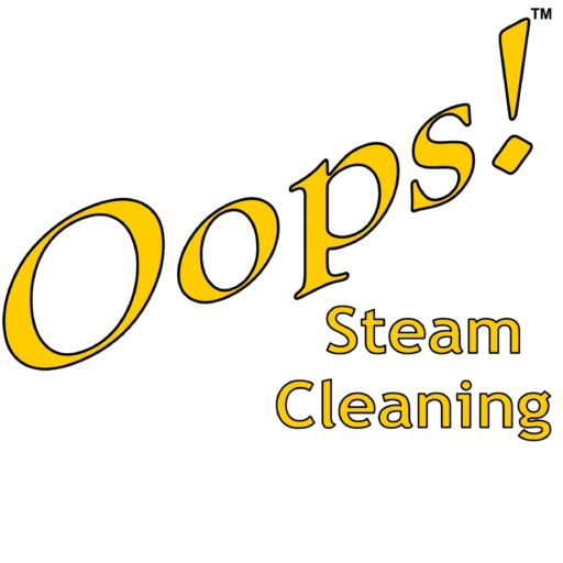 Oops! Steam Cleaning